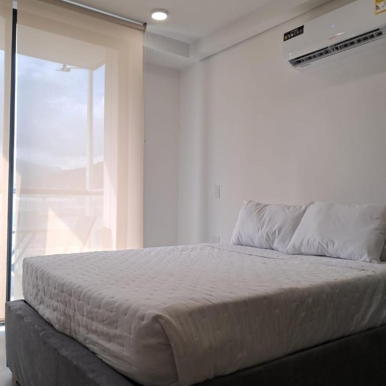 Tropical Oasis Suite - One-Bedroom Apartment - 1