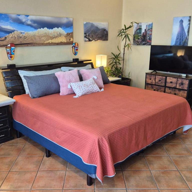 Private bedroom in gorgeous shared Versailles house with heated and cooled pool - Habitación con cama extragrande. - 2