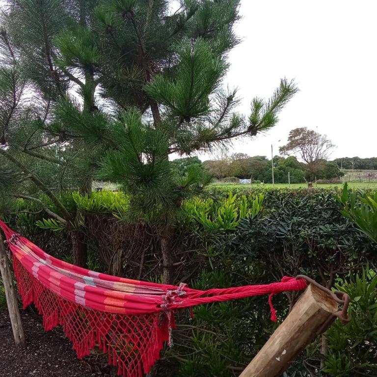Tiny House con parrilla y jardín cerca del mar - One-Bedroom House - 25