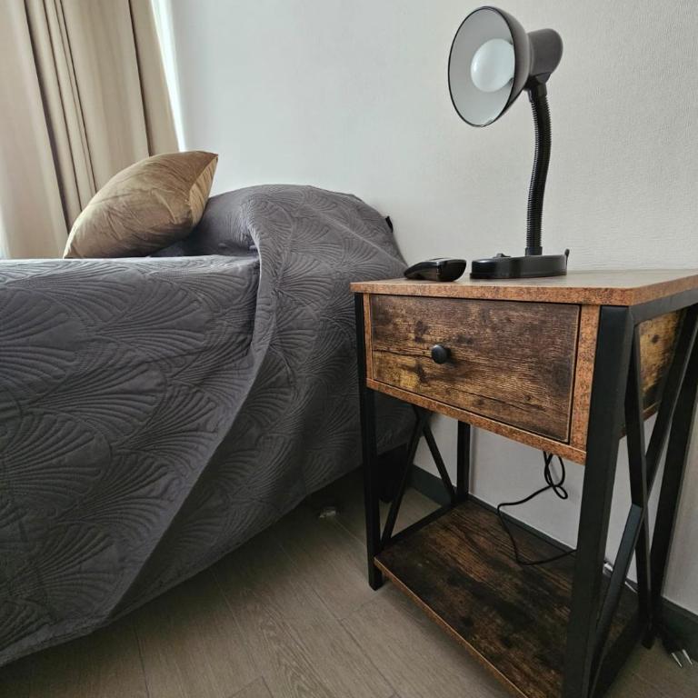Departamento a pasos de Paseo Bulnes y Palacio La Moneda - Apartamento de 1 Dormitorio con balcón y vistas a la ciudad - 15