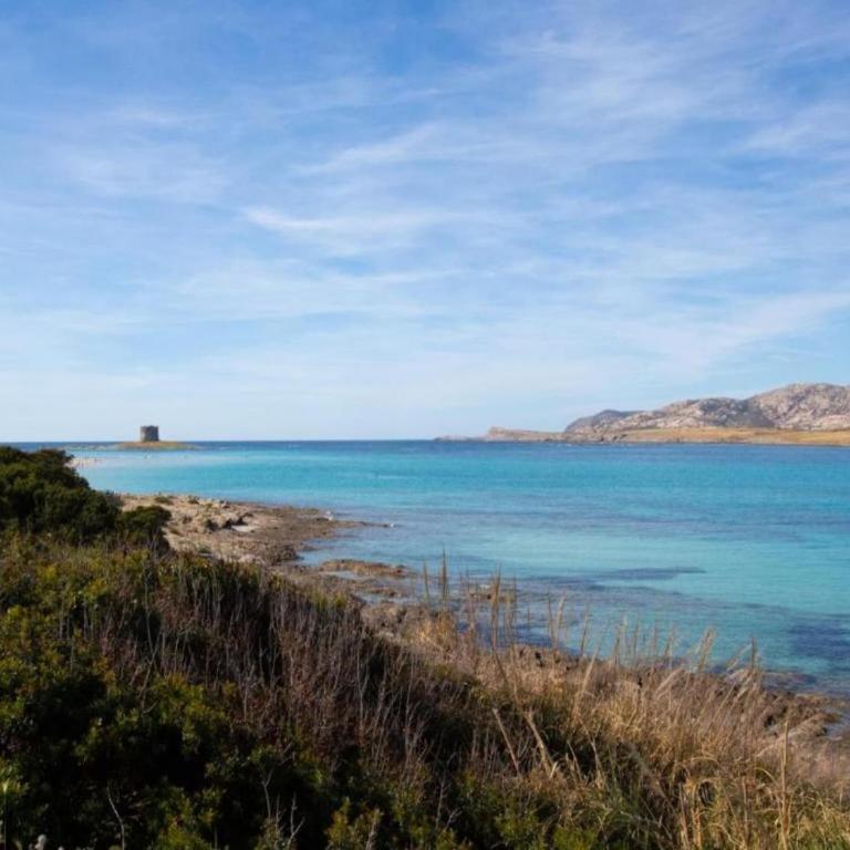 Holiday Home in Stintino near Sea Beach - Casa Vacanze con 2 Camere da Letto - 24