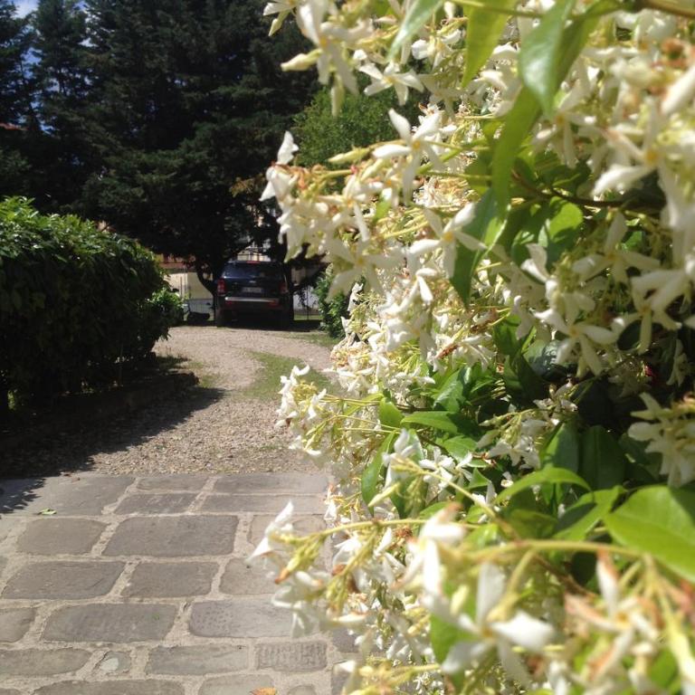 La Piccola Oasi con parcheggio - Appartamento - 56