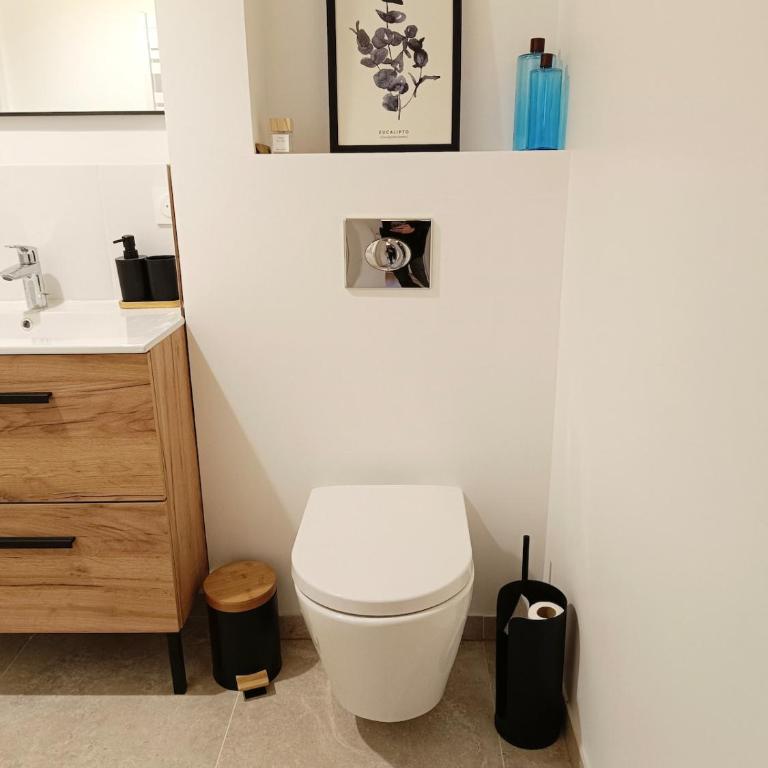La tournette - Sur la route d'Annecy - Appartement 1 Chambre - 4