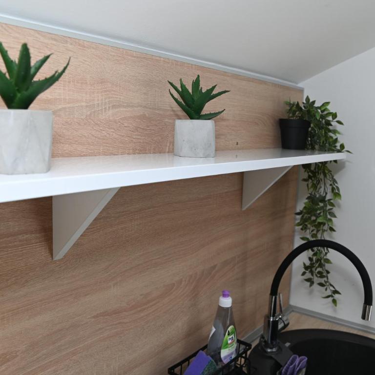 Apartman 'Maslina' - Studio - 26