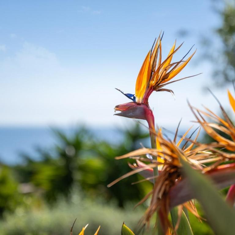 Villa Cigales - Villa - 66