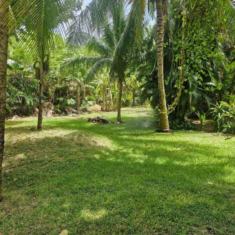 Luxurious Apartment in Playacar with Golf - Apartamento - 48
