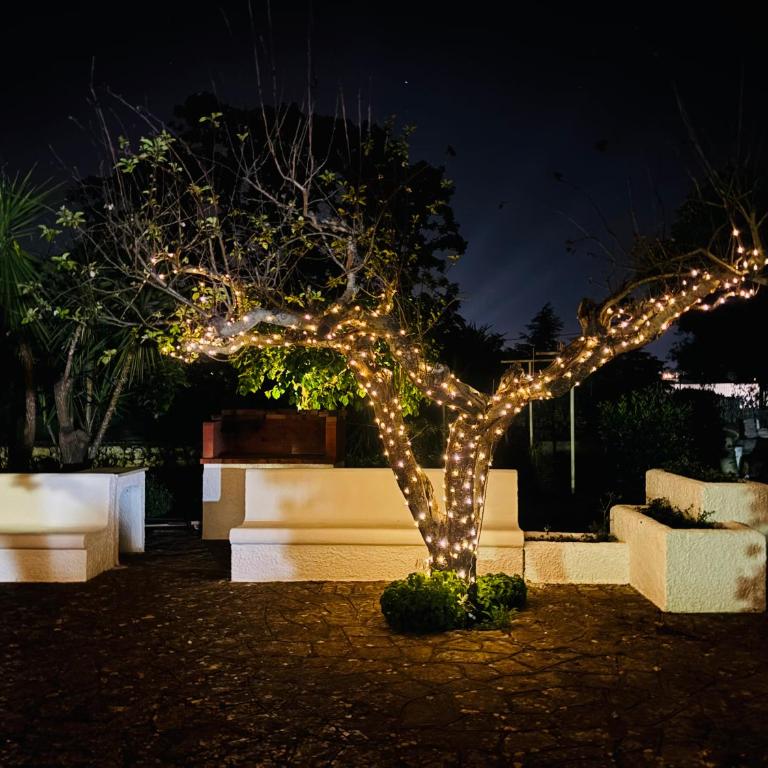 Villa Bianca Terra - Villa con 3 Camere da Letto - 28