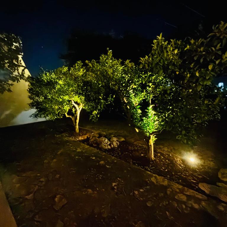 Villa Bianca Terra - Villa con 3 Camere da Letto - 34