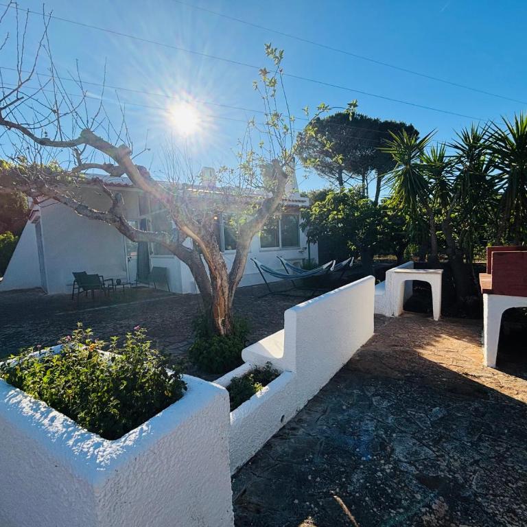 Villa Bianca Terra - Villa con 3 Camere da Letto - 21
