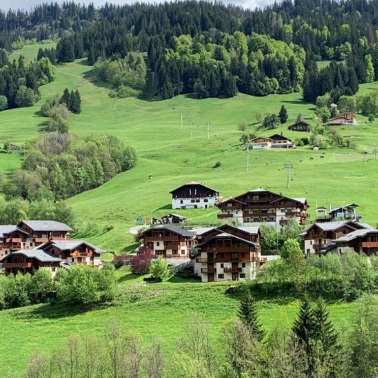 Appartement cosy avec balcon et vue montagne - Appartement - 11