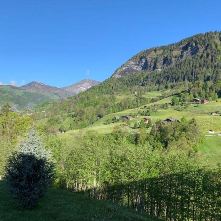 Appartement cosy avec balcon et vue montagne - Appartement - 14