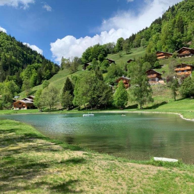 Appartement cosy avec balcon et vue montagne - Appartement - 12