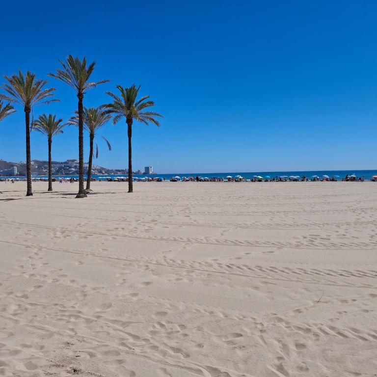 Cullera Mar Azul - Apartamento de 2 dormitorios - 1