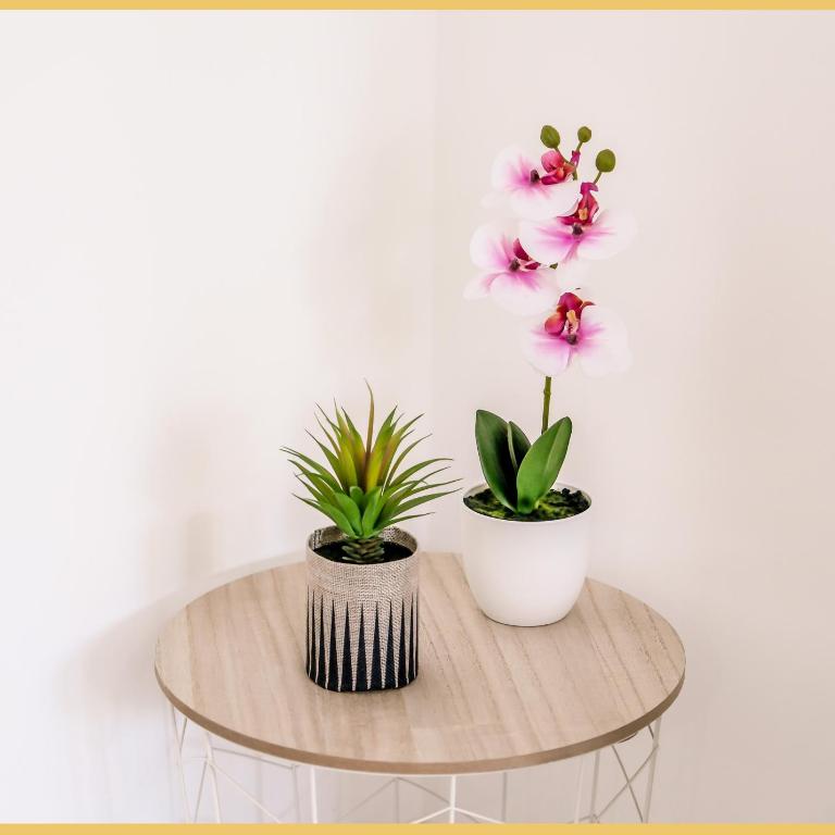 Chez Vincent I T3 I Thonon - Appartement 2 Chambres - 18