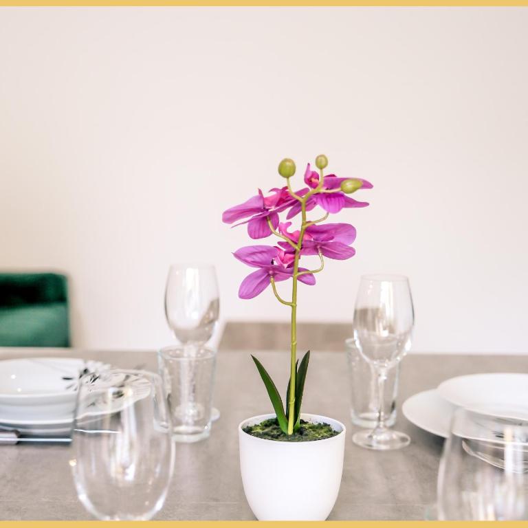 Chez Vincent I T3 I Thonon - Appartement 2 Chambres - 16