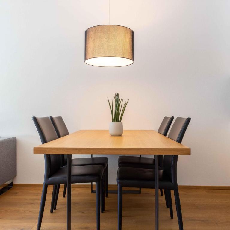 Krone Apartments Schruns, Top 6/7/8 - Apartamento de 1 dormitorio con cuarto de baño - 17