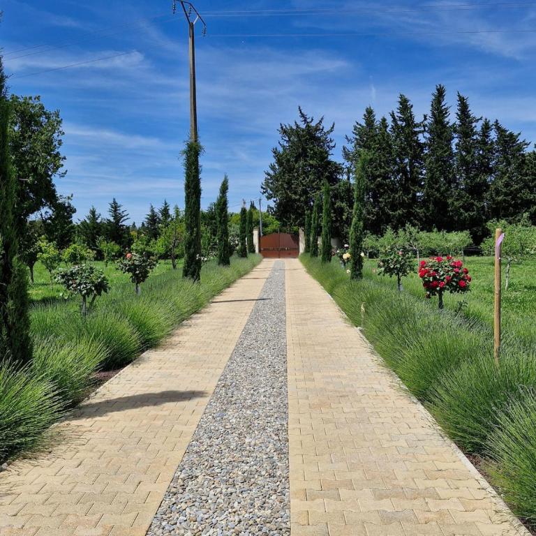 Mas Romainho, Luxe et Charme à St Rémy - Villa - 16