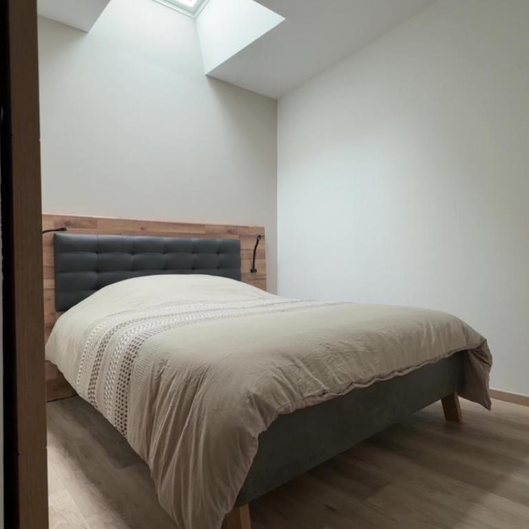 Le petit narbonnais - Apartamento de 1 dormitorio - 7
