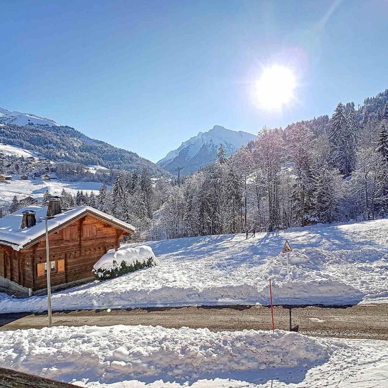 Appartement cosy à La Clusaz - 4 pers, balcon sud - FR-1-818-107 - Appartement - 9
