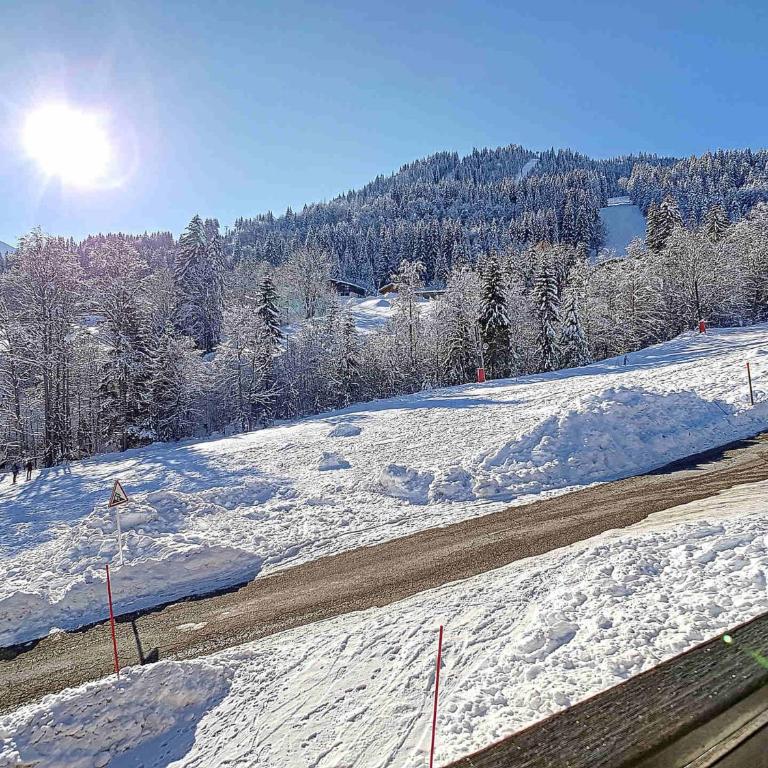 Appartement cosy à La Clusaz - 4 pers, balcon sud - FR-1-818-107 - Appartement - 10