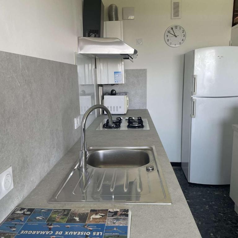 Appartement face mer climatisé avec parking au Grau-du-Roi - FR-1-731-141 - Appartement - 4