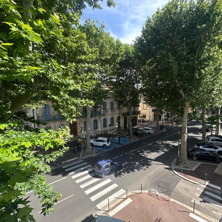 Centre ville, grand T3 avec balcon - Apartment mit 2 Schlafzimmern - 13