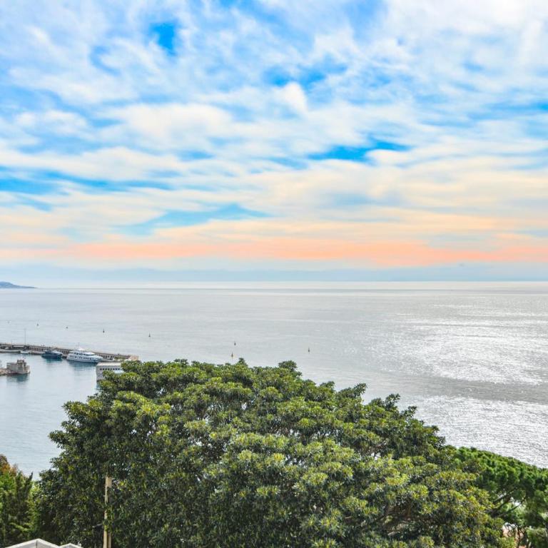 Appart belle vue mer et plage proche de Monaco - Appartement - 13