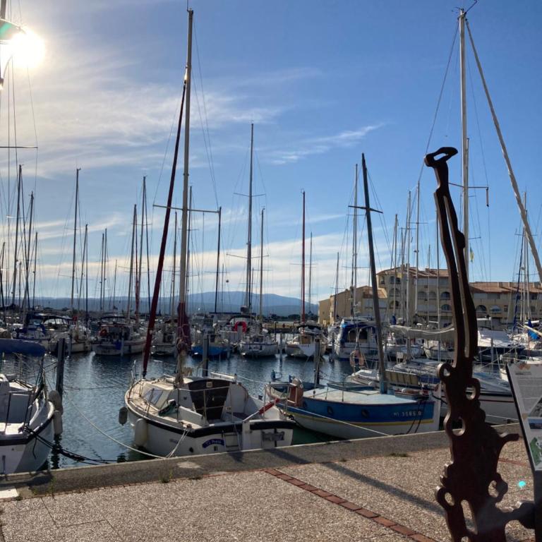 Port-Leucate, studio 3 personnes - Appartement 1 Chambre - 2