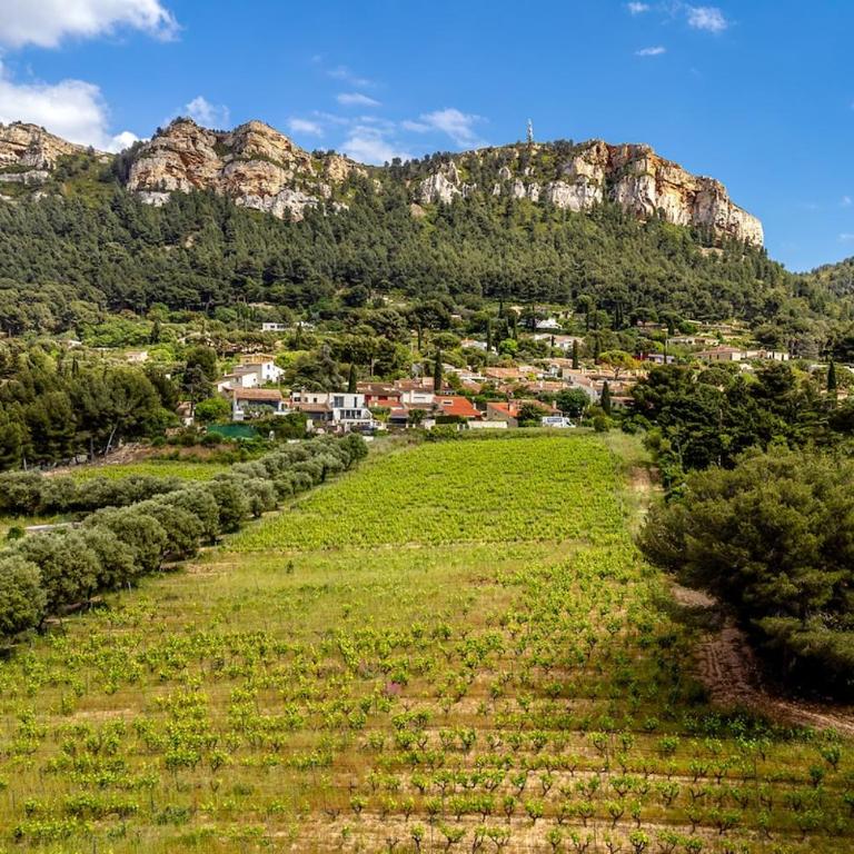 Grande Bastide, Cassis - Villa Deluxe - 34