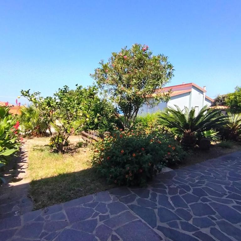 Casa delle Ginestre 2 - Appartamento con 3 Camere da Letto - 21