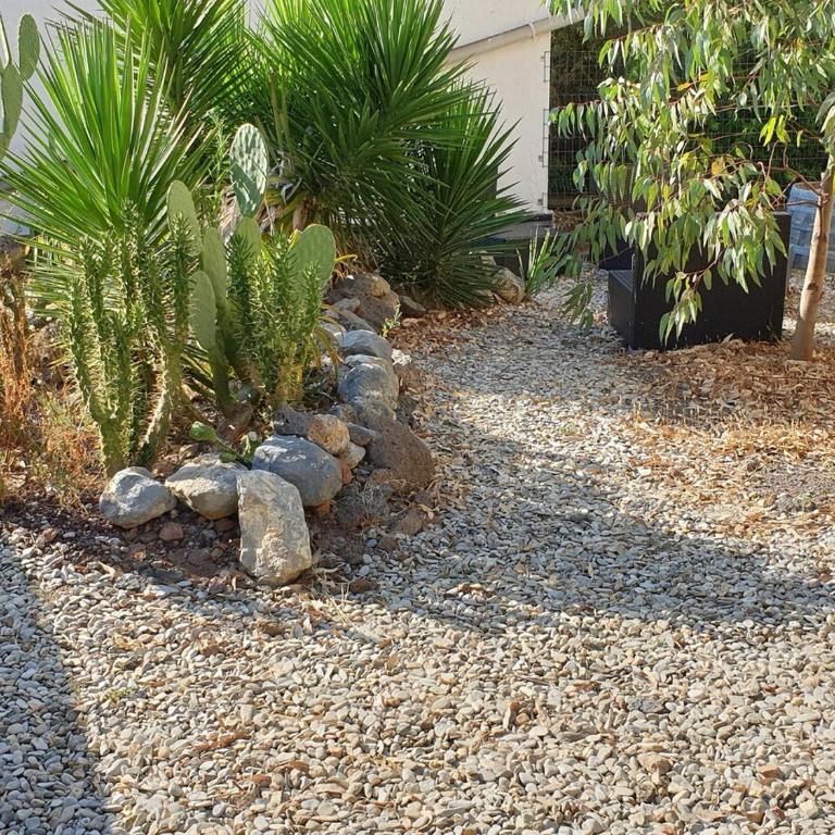 Nice apartment with garden - Appartement 2 Chambres - 14