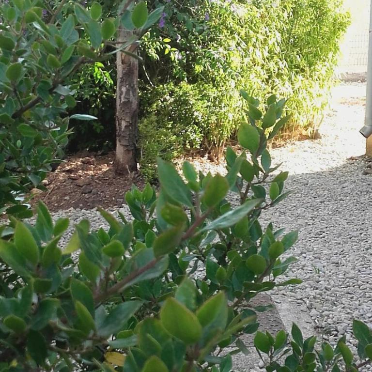 Nice apartment with garden - Appartement 2 Chambres - 16