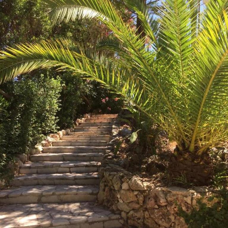 Quiet Private Garden Suite with Pool - Appartement 1 Chambre - 13