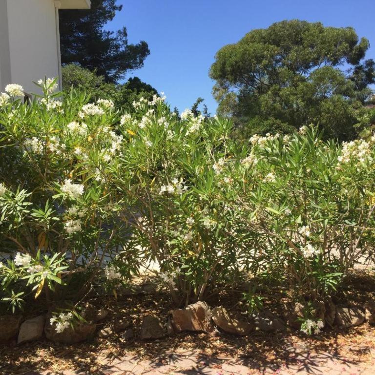 Quiet Private Garden Suite with Pool - Appartement 1 Chambre - 12