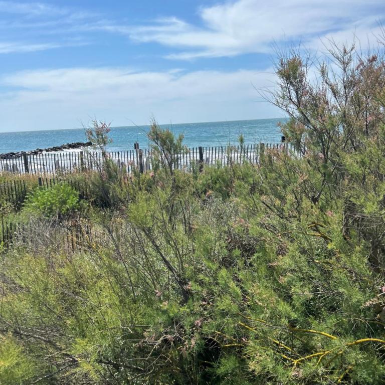 111 Acces direct 3min de la MER,2 places de parking gratuite, terrasse - Appartement 2 Chambres - 2