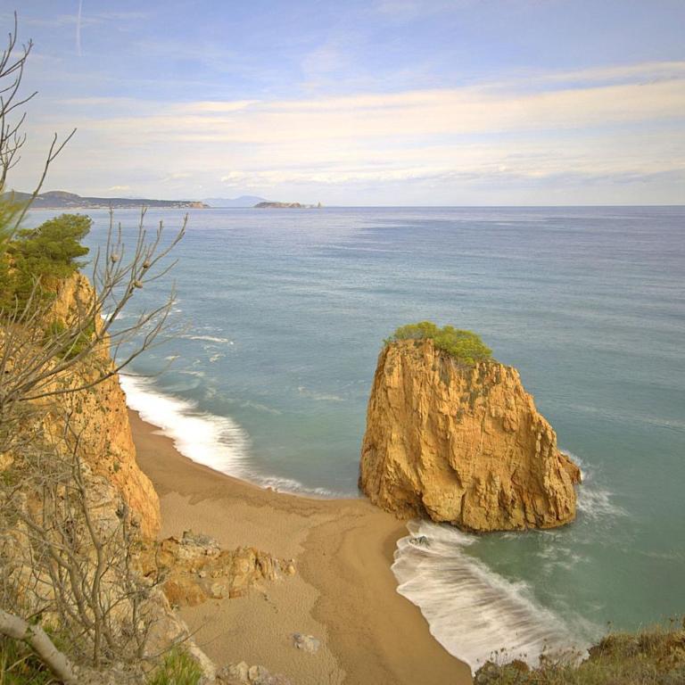 Studio a 300 m de la Playa de Pals MP 502 - Estudio - 11