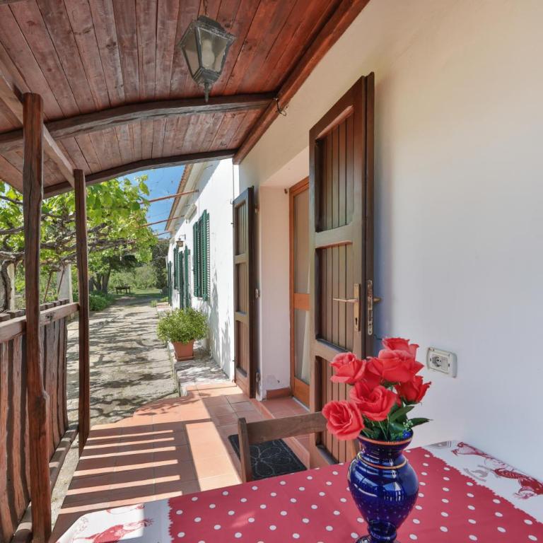 Podere Al Buraccio - Elba Affitti - Studio Apartment with Balcony - 7