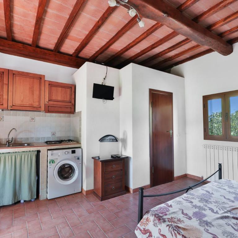 Podere Al Buraccio - Elba Affitti - Studio Apartment with Balcony - 9