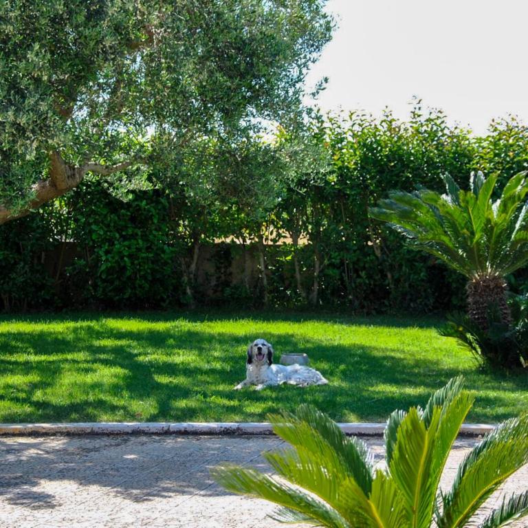 Trulli l’Olivo Casa Vacanze - Casa con 2 Camere da Letto - 4
