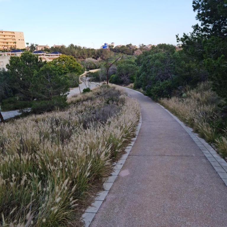 Apartament La Mata, Torrevieja - Apartamento de 2 dormitorios - 33