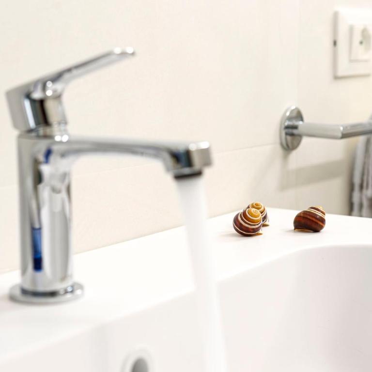 Le Maree Comfort Rooms - Camera Matrimoniale con Bagno Privato - 1