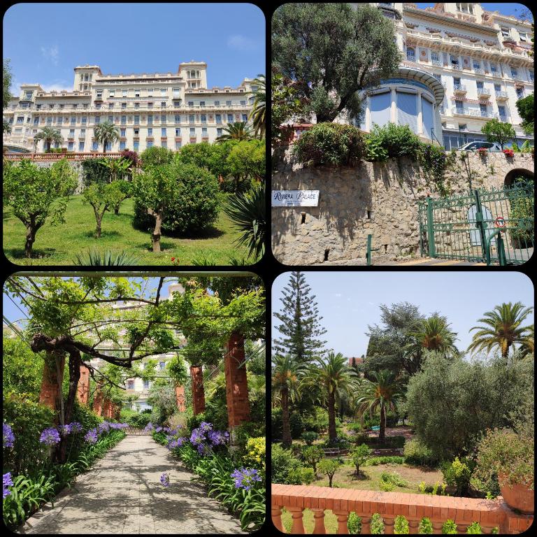 Appartement Riviera Palace - Appartement 1 Chambre - 7