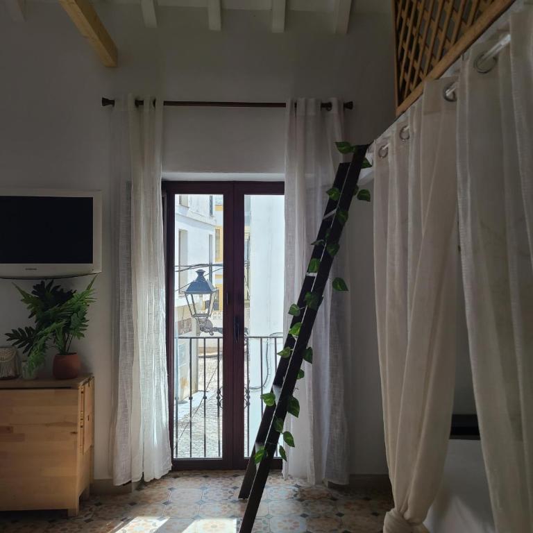 Amapola Livingtarifa - Estudio - 5