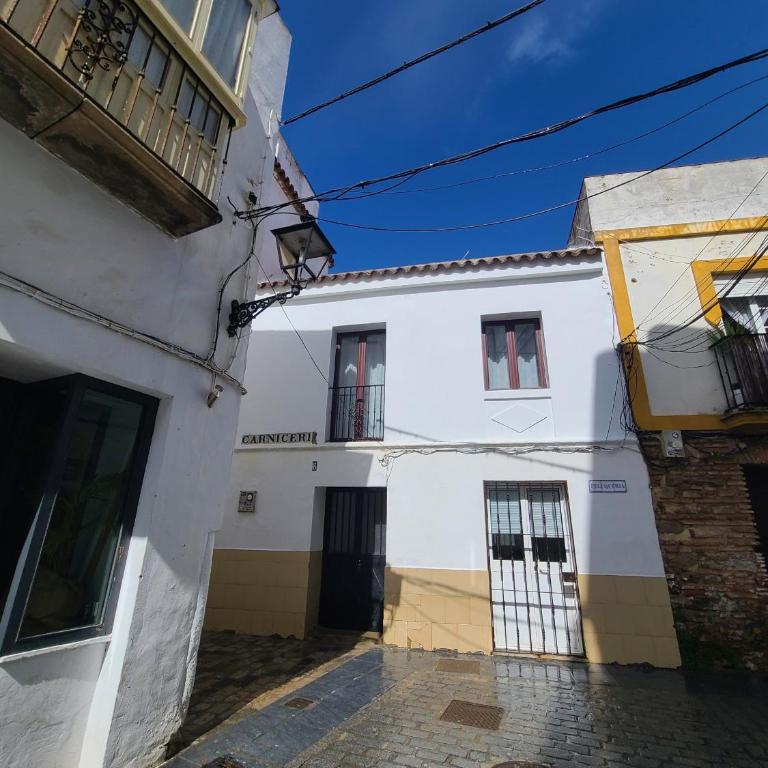 Amapola Livingtarifa - Estudio - 14