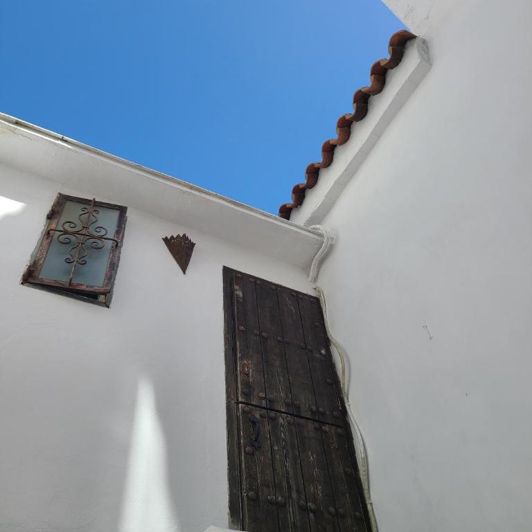 Amapola Livingtarifa - Estudio - 16