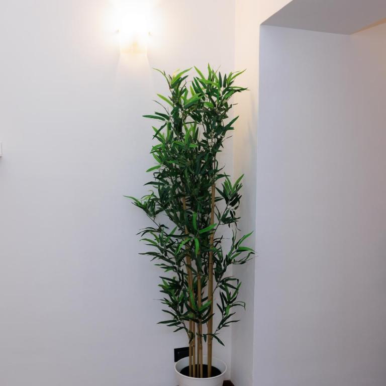 Ostia Bella Apartment - Appartamento con 2 Camere da Letto - 77