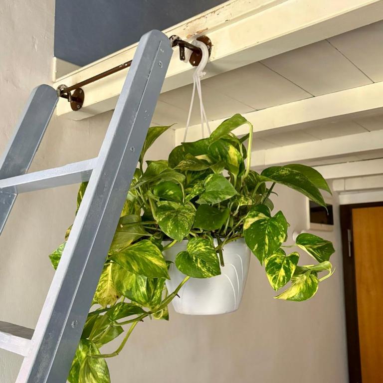 Pothos by monteverdi - Two-Bedroom Apartment - 10