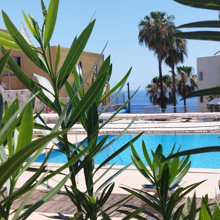 Sol del Sur Ocean View - Apartamento de 1 dormitorio - 12