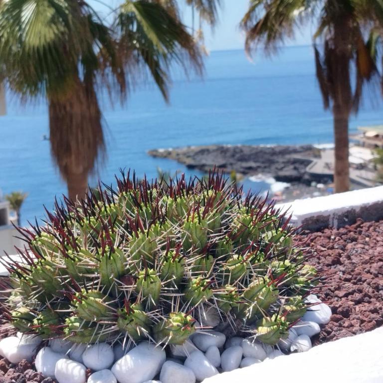Sol del Sur Ocean View - Apartamento de 1 dormitorio - 16
