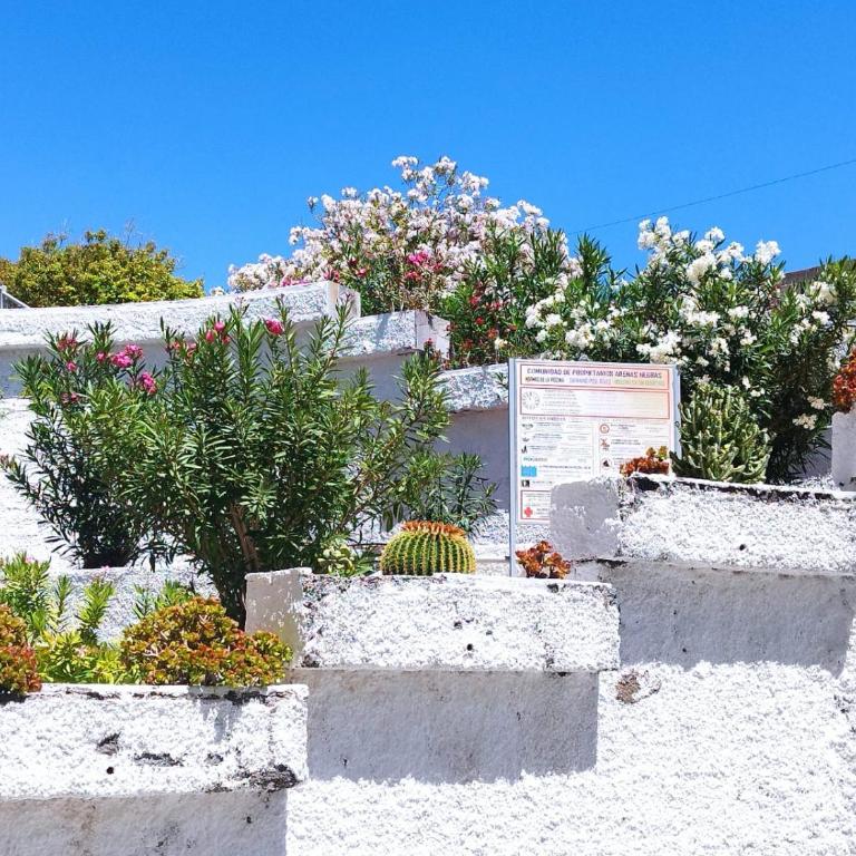 Sol del Sur Ocean View - Apartamento de 1 dormitorio - 25